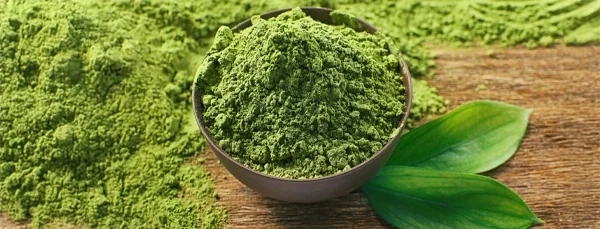 Loose green tea leaf and powder, the leaf the fifth row of the panel is extracted from