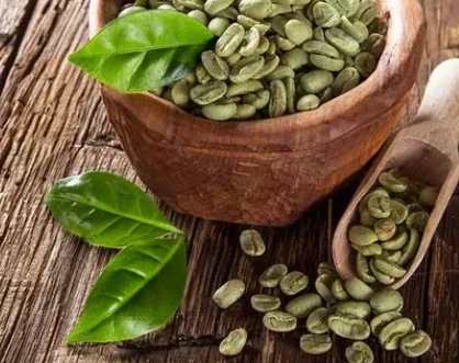 Unroasted green coffee beans, the seed the first row of the panel is extracted from