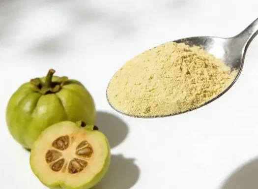 Whole garcinia cambogia fruit, the rind the third row of the panel is extracted from